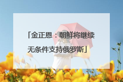金正恩：朝鲜将继续无条件支持俄罗斯