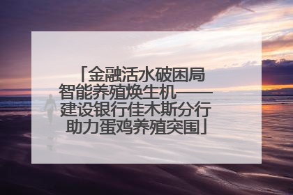 金融活水破困局 智能养殖焕生机——建设银行佳木斯分行助力蛋鸡养殖突围