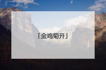 金鸡菊开