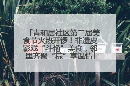 青和居社区第二届美食节火热开锣！非遗皮影戏“斗艳”美食，邻里齐聚“粽”享温情