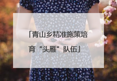 青山乡精准施策培育“头雁”队伍