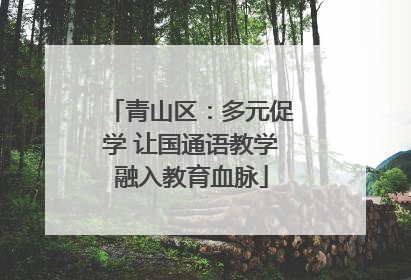青山区：多元促学 让国通语教学融入教育血脉