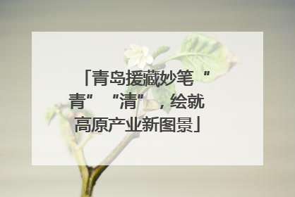 青岛援藏妙笔“青”“清”，绘就高原产业新图景