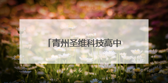 青州圣维科技高中2026届高三动员大会燃情启幕
