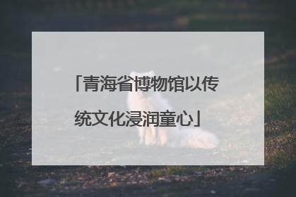 青海省博物馆以传统文化浸润童心