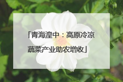 青海湟中：高原冷凉蔬菜产业助农增收