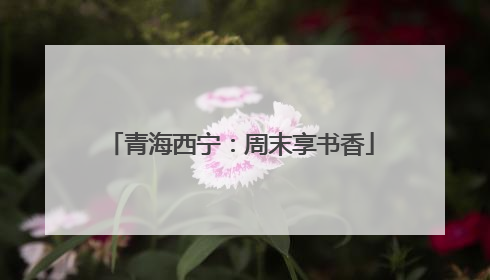 青海西宁：周末享书香