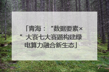 青海：“数据要素×”大赛七大赛题构建绿电算力融合新生态