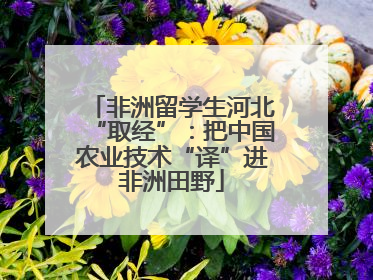 非洲留学生河北“取经”：把中国农业技术“译”进非洲田野
