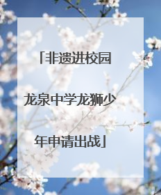 非遗进校园 龙泉中学龙狮少年申请出战