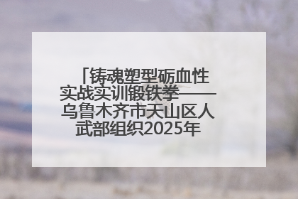 铸魂塑型砺血性 实战实训锻铁拳——乌鲁木齐市天山区人武部组织2025年度民兵集中轮训