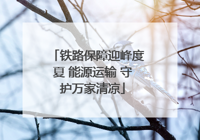 铁路保障迎峰度夏 能源运输 守护万家清凉