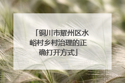 铜川市耀州区水峪村乡村治理的正确打开方式