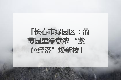 长春市绿园区：葡萄园里绿意浓 “紫色经济”焕新枝