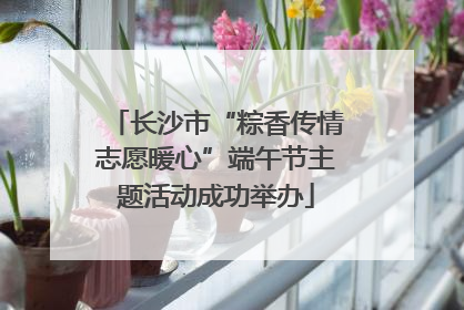 长沙市“粽香传情志愿暖心”端午节主题活动成功举办