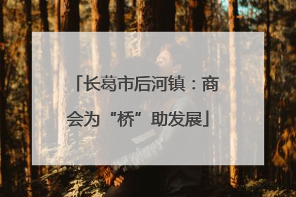 长葛市后河镇：商会为“桥”助发展