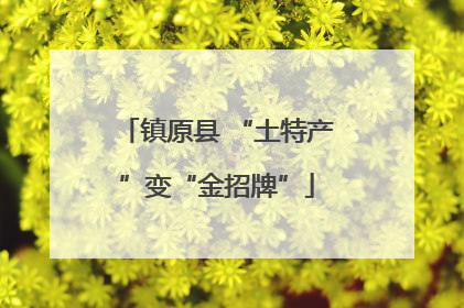 镇原县 “土特产”变“金招牌”