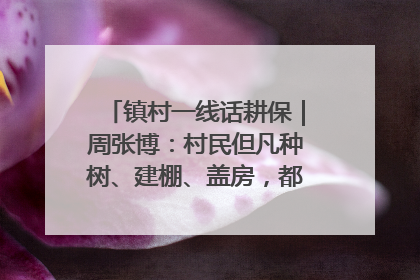 镇村一线话耕保｜周张博：村民但凡种树、建棚、盖房，都要向街道报批