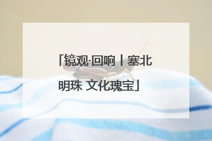 镜观·回响丨塞北明珠 文化瑰宝