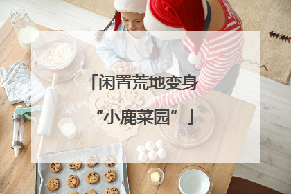 闲置荒地变身“小鹿菜园”