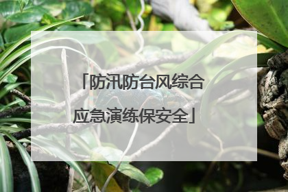 防汛防台风综合应急演练保安全