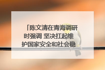 陈文清在青海调研时强调 坚决扛起维护国家安全和社会稳定职责使命 为谱写中国式现代化青海篇章贡献政法力量
