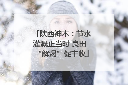 陕西神木：节水灌溉正当时 良田“解渴”促丰收
