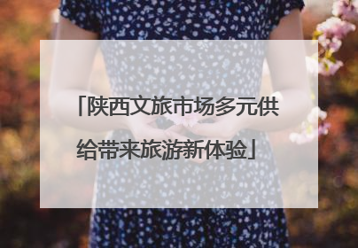 陕西文旅市场多元供给带来旅游新体验