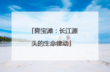 隆宝滩：长江源头的生命律动