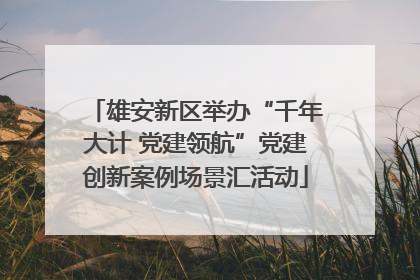 雄安新区举办“千年大计 党建领航”党建创新案例场景汇活动