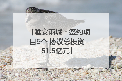 雅安雨城：签约项目6个 协议总投资51.5亿元