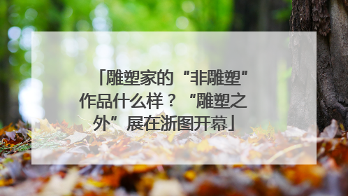 雕塑家的“非雕塑”作品什么样？“雕塑之外”展在浙图开幕