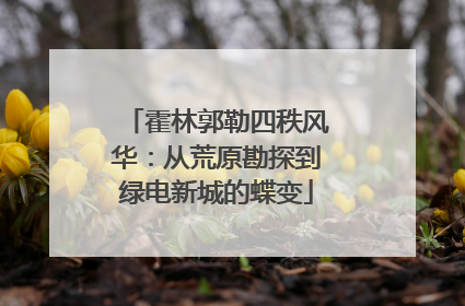 霍林郭勒四秩风华：从荒原勘探到绿电新城的蝶变