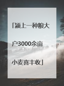 颍上一种粮大户3000余亩小麦喜丰收