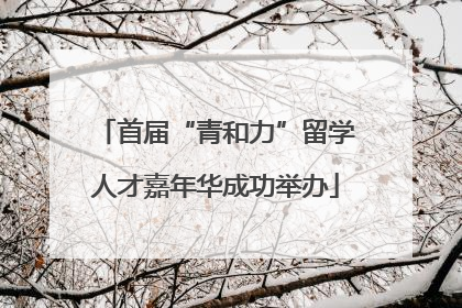 首届“青和力”留学人才嘉年华成功举办