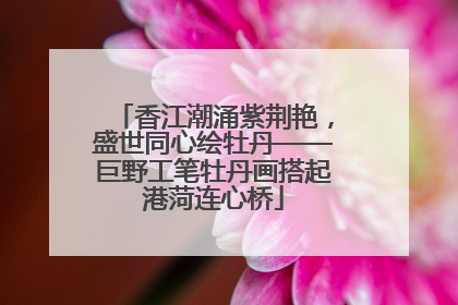 香江潮涌紫荆艳，盛世同心绘牡丹——巨野工笔牡丹画搭起港菏连心桥