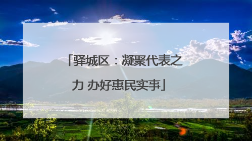 驿城区：凝聚代表之力 办好惠民实事