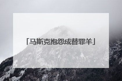 马斯克抱怨成替罪羊
