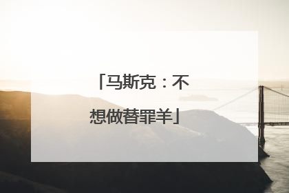 马斯克：不想做替罪羊