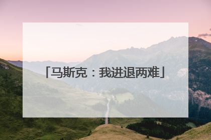 马斯克：我进退两难
