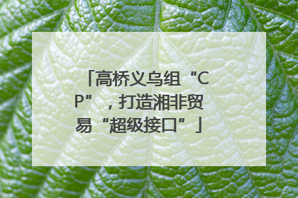高桥义乌组“CP”，打造湘非贸易“超级接口”