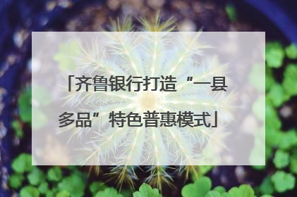 齐鲁银行打造“一县多品”特色普惠模式