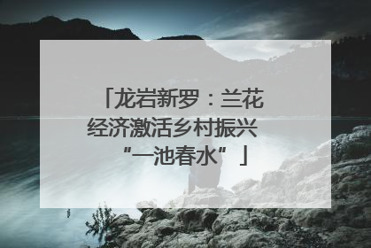 龙岩新罗：兰花经济激活乡村振兴“一池春水”