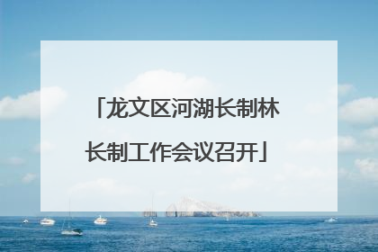 龙文区河湖长制林长制工作会议召开