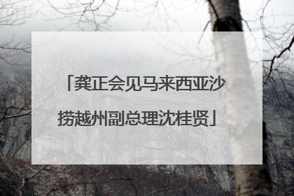 龚正会见马来西亚沙捞越州副总理沈桂贤