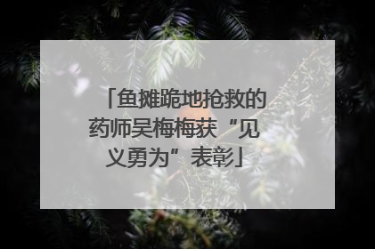 鱼摊跪地抢救的药师吴梅梅获“见义勇为”表彰