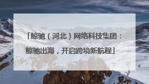 鲸驰（河北）网络科技集团：鲸驰出海，开启跨境新航程