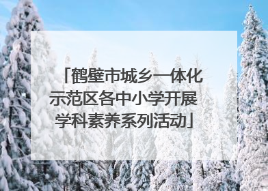 鹤壁市城乡一体化示范区各中小学开展学科素养系列活动