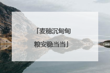 麦穗沉甸甸 粮安稳当当