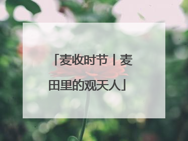 麦收时节丨麦田里的观天人
